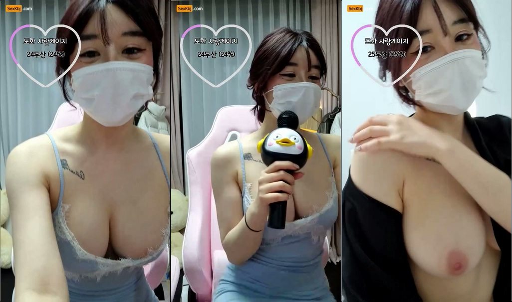 BJ도화-zzgg00-20220222