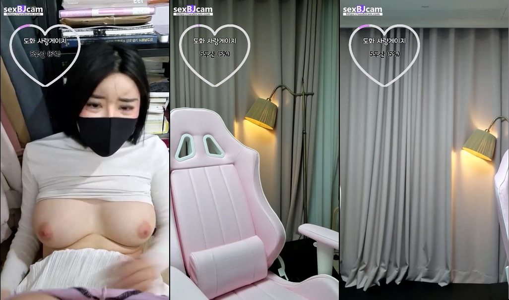 BJ도화-zzgg00-20230121-1