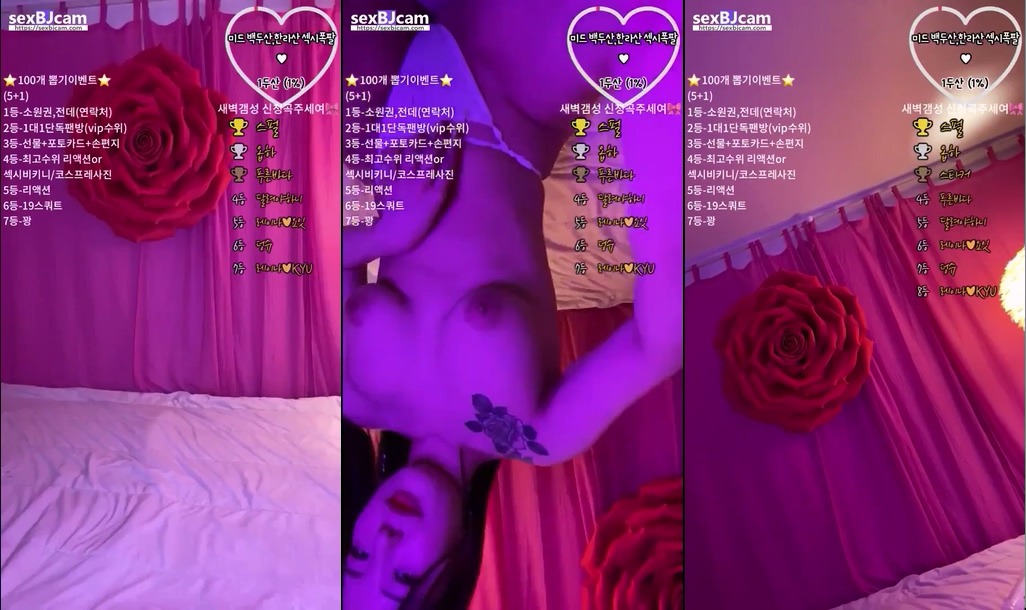 Korean BJ-k4772074519450200829-20230124