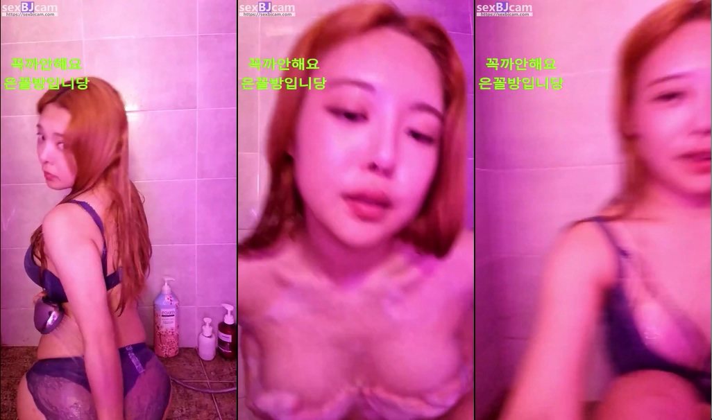 BJ다움-honga0711-20230515
