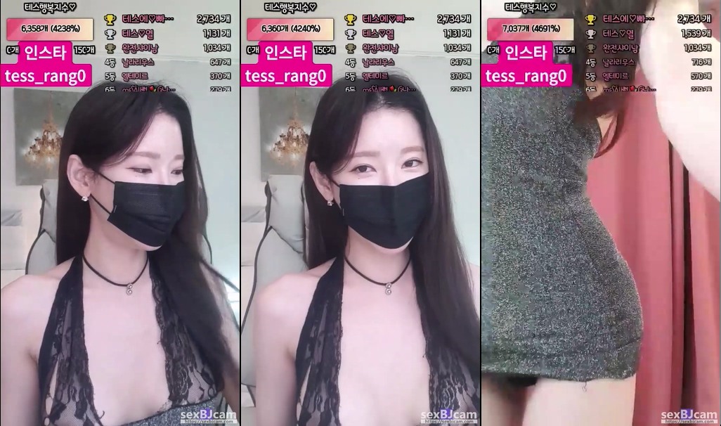 BJ테스랑-sys27033-20231121