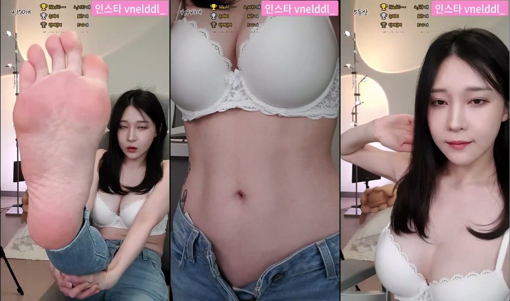 BJ푸딩-pupu28-20231230
