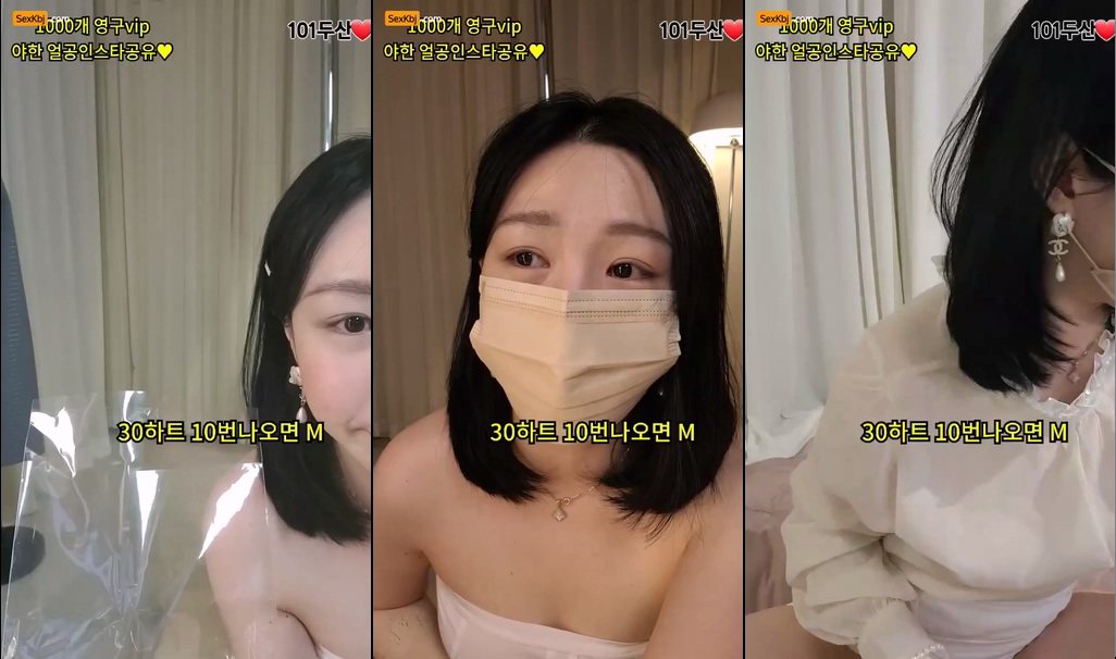 BJ프리지아-1004162-20240103