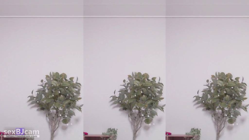 BJ꾸삐삐-dmsdms1247-20240226