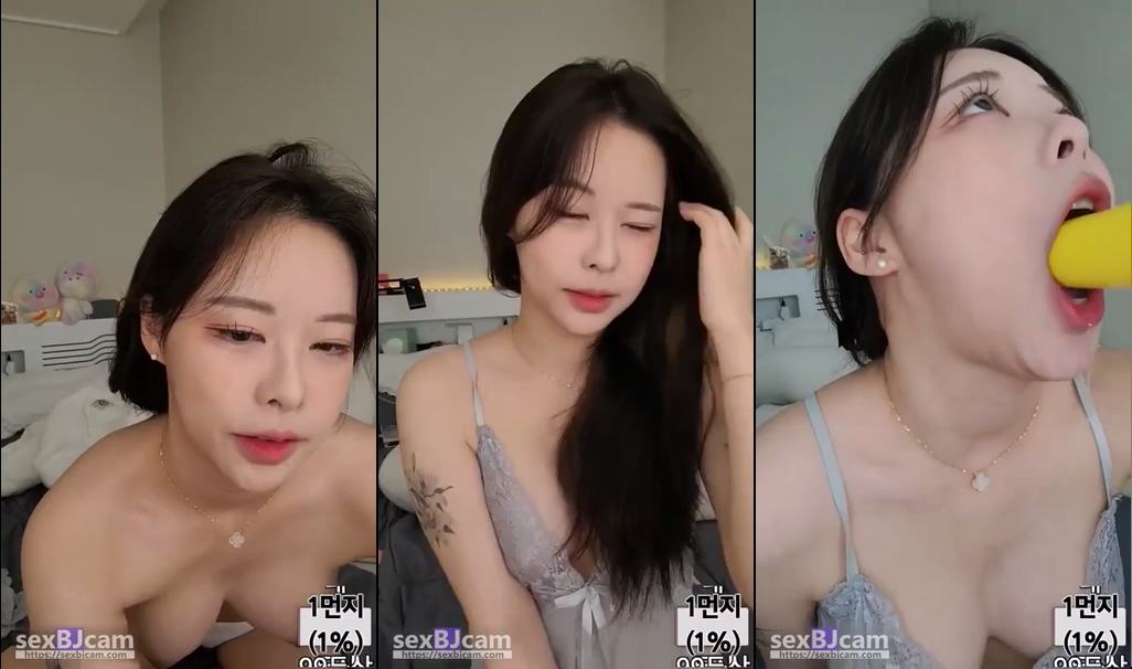 BJ솜먼지-ajswl12-20240304