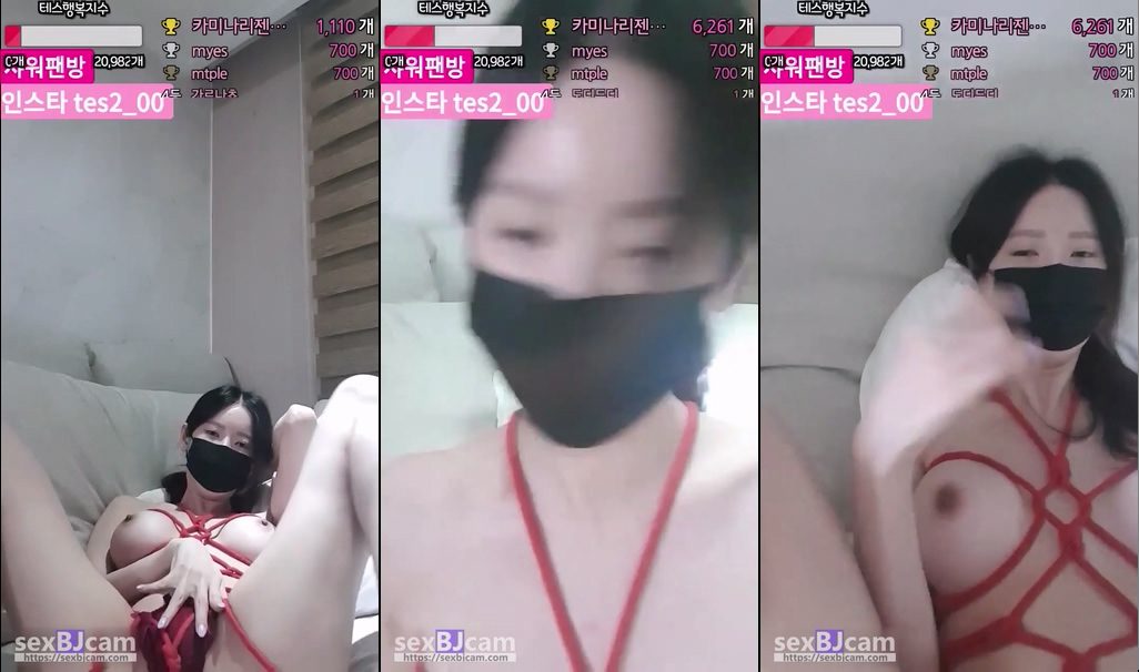 BJ테스-tess00-20240221