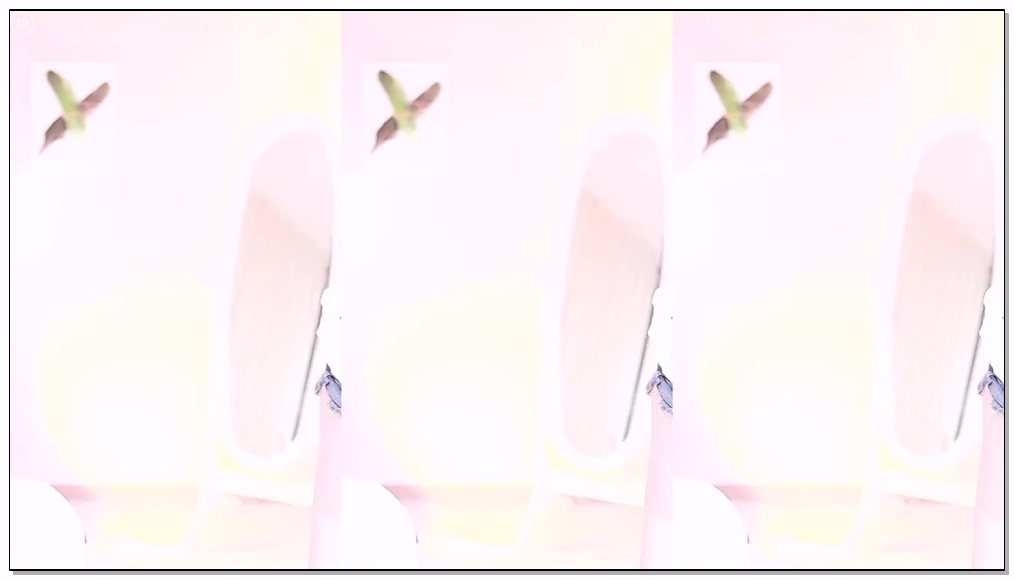 Korean-BJ-20-aidaid00-20251114